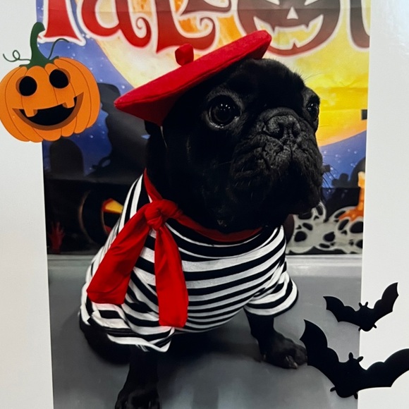 Meet your Posher - Picture 5 of 7